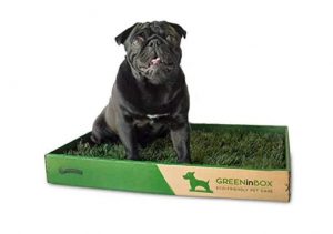 Lettiera per cani GreenInBox